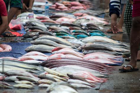 Various types of seafood are sold in the traditional fish market Stock ...