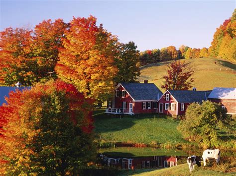 Fall Foliage in Vermont