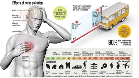 Effects Of Noise Pollution - News - Handan Yantai Import and Export Co ...