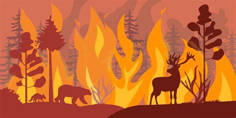 Silhouettes of wild animals at forest fire | Nature art drawings, Fire ...