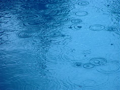 Free picture: raindrops, water