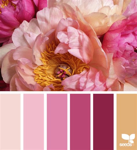 Floral Color Palette Inspiration | Sparkles and Shoes