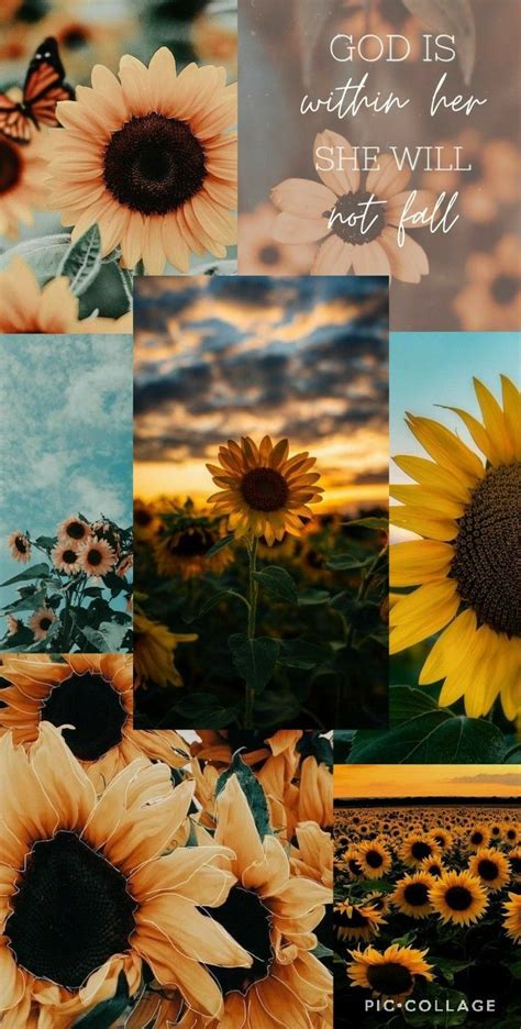 Aesthetic sunflower wallpaper!🌻💛🤍 | Sunflower iphone wallpaper ...