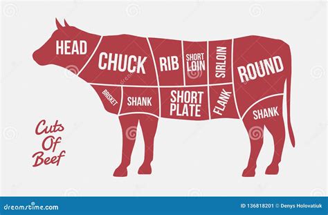 Cuts of Beef. Meat Cuts. Cow Silhouette Isolated on White Background ...