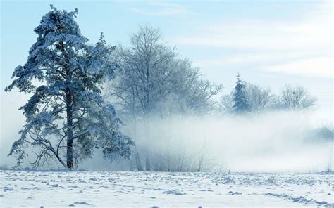 🔥 [50+] Snowy Fields Wallpapers | WallpaperSafari