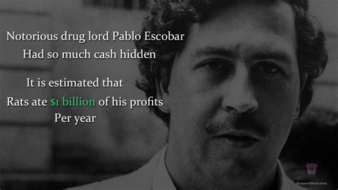 Pablo Escobar HD Wallpapers - Top Free Pablo Escobar HD Backgrounds ...