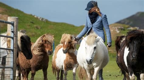 Shetland Pony: 10 Most Important Points Discussed For Horse Lovers ...