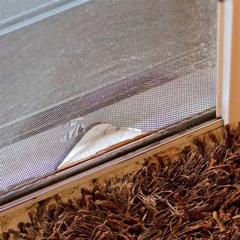 DIY Pest Control - How To Keep Pests Out Of Your Home