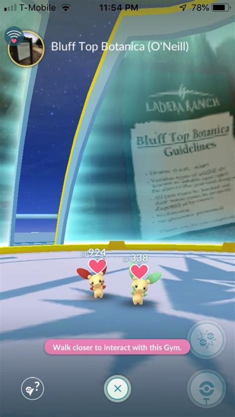 Shiny plusle and minun : r/themedgyms