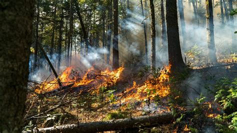 Sweden: Small fires break out due to dry conditions – Eye on the Arctic