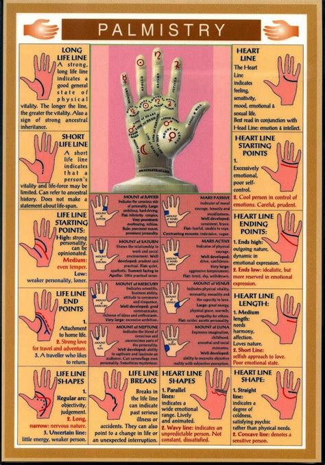 Read your own PALM! Palmistry & Palm Reading Secrets | Useful Information