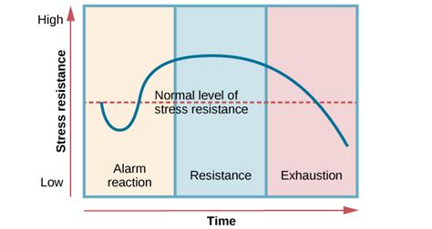 Studying Stress | Introduction to Psychology