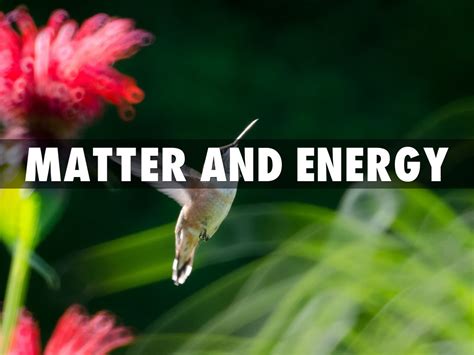 matter and energy by Jon Trewyn