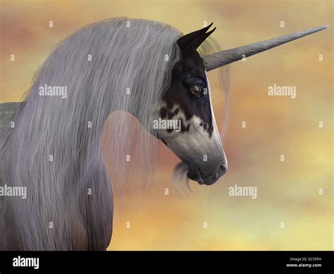 A Unicorn is a creature of fantasy and mythology which has a horn on ...