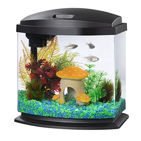 Best Aqueon Standard Glass Aquarium Tank 20 Gallon Long