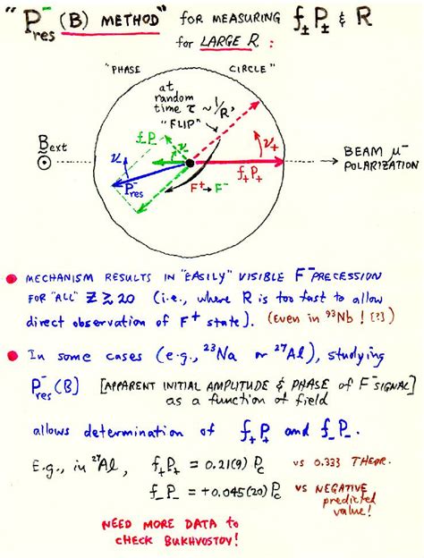 Negative Muon Spin Rotation