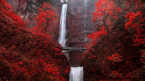 Bridge Between Red Autumn Trees Covered Mountains With Waterfalls ...