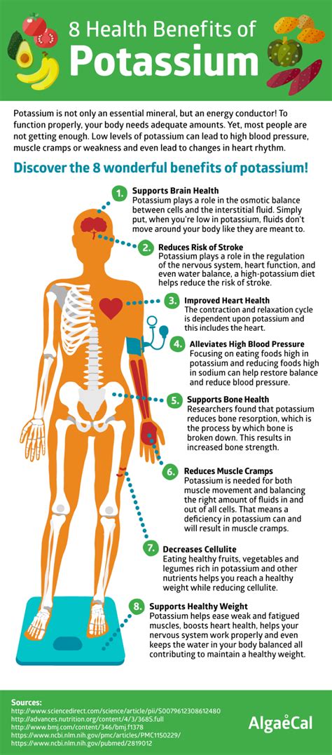 Top Potassium-Rich Foods and How They Benefit You | AlgaeCal | Health ...