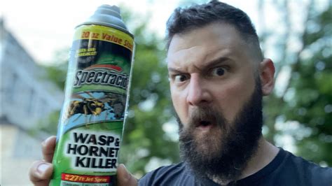 How to spray a paper wasp nest! - YouTube