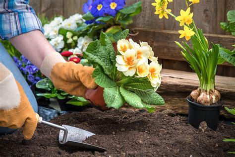 The Therapy Center | Preventing Injury: Helpful Tips While Gardening