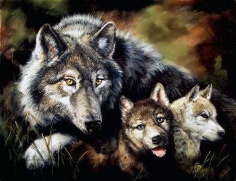 Facebook | Wolf dog, Wolf pictures, Wolf spirit animal