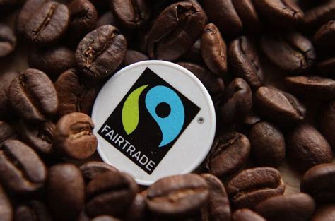 Fairtrade coffee brands | la tazza