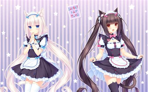 [100+] Nekopara Wallpapers | Wallpapers.com