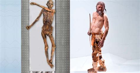 Ötzi the Iceman Genes Trace to Early Anatolian Farmers, and He Had a ...