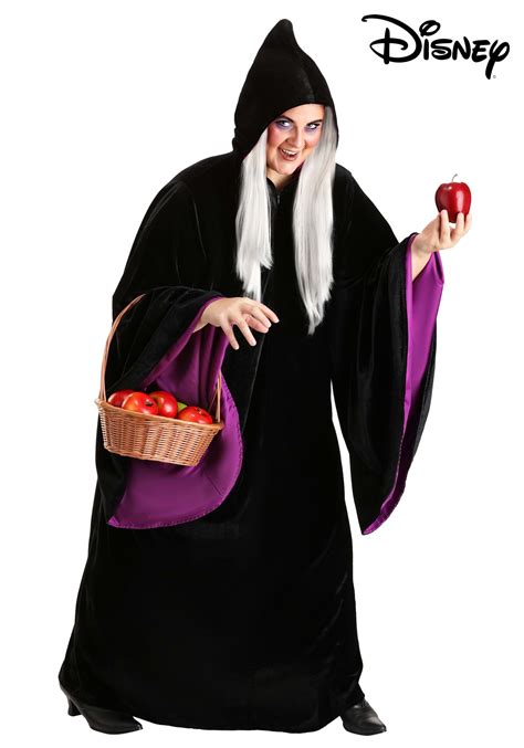 Adult Plus Size Disney Snow White Witch Costume | Disney Costumes