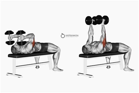 Lying Dumbbell Tricep Extension Benefits & Form Tips