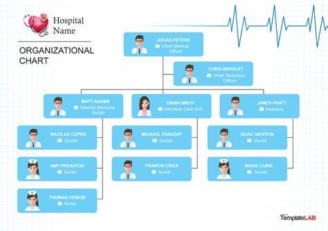 Tertiary Hospital Organizational Chart