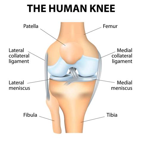 Complex Ligament Injuries: MCL/PCL Surgeons & Consultants, Yorkshire