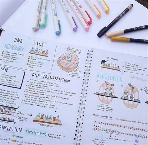 Must Have Stationery Supplies For Note Taking - StudyStuff