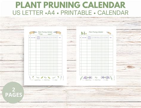 Plant Pruning Calendar Printable Blank Digital Download. - Etsy Canada