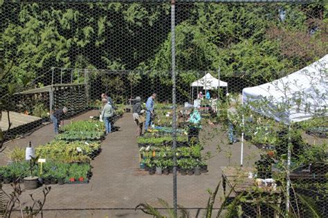 Milner Gardens Spring Plant Sale….. | Todsen Design