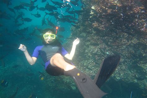 Best Places for Snorkeling in the Galapagos Islands by Galapagos Insiders