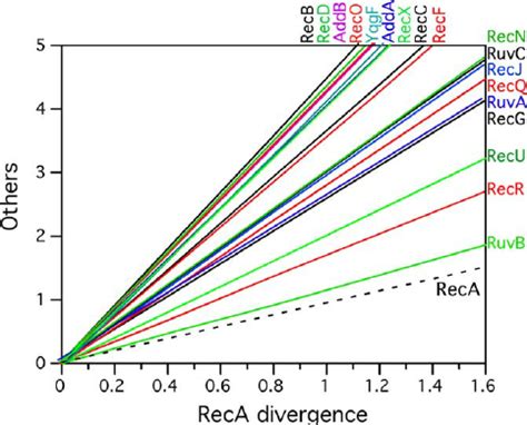 Results of the Simulations of Protein Evolution following the ...