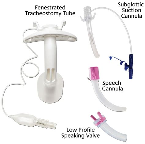 Fenestrated Tracheostomy Tube