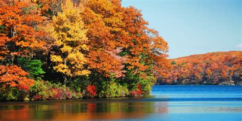 5 Most Beautiful Fall Foliage Destinations Around Wilmington