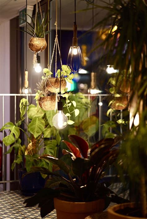 several pendant lamps | House plants indoor, Beautiful wall decor, Plants