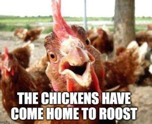 Larry Buford: Chickens Coming Home to Roost! | EURweb