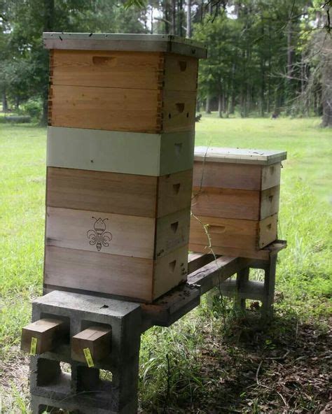 8 Beehive Stand ideas | hive stand, bee keeping, bee hive stand