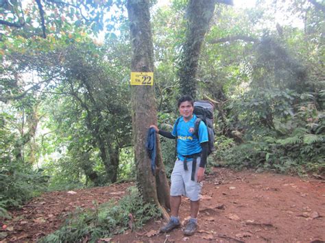 LEXICAL CROWN: A DAY CLIMB IN MOUNT MAKILING PEAK 2 FOR AS LOW AS P420