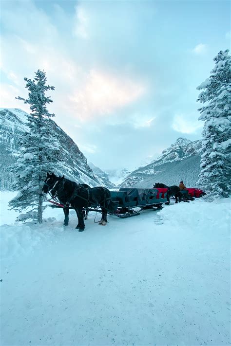 Top 10 Winter Activities in Banff National Park | National parks, Banff ...