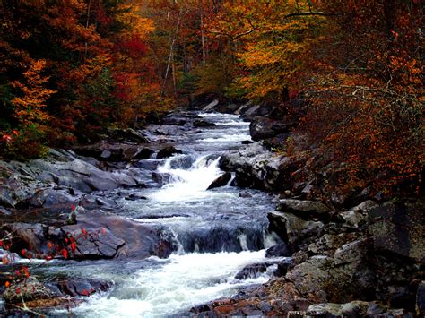 Cascading Rapids landscape in Great Smoky Mountains National Park ...