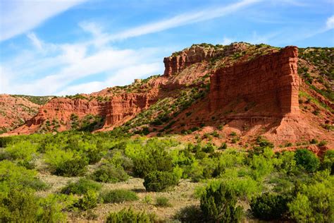 16 Best State Parks in Texas for Beautiful Views and Epic Adventures