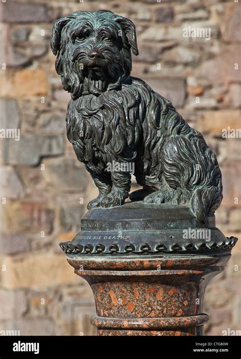 Greyfriars Bobby statue, Edinburgh, Scotland Stock Photo - Alamy