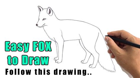 How To Draw A Fox Sitting How to draw a fox sitting