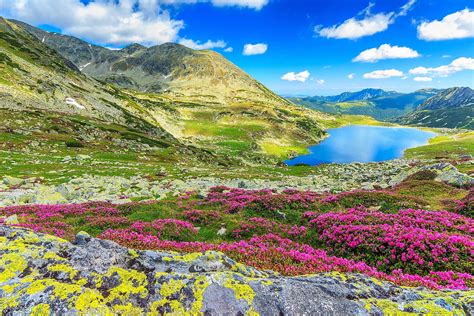 Carpathian Mountains - WorldAtlas