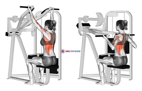 Reverse Grip Machine Lat Pulldown (female) - Home Gym Review